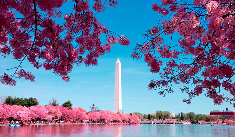 cong-dan-vietnam-xin-visa-du-lich-my-tu-nhat-ban