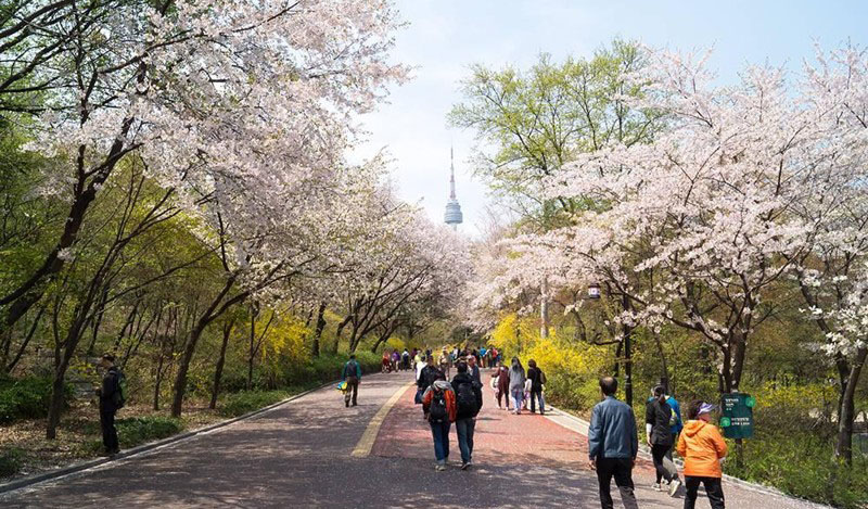 dia-diem-du-lich-o-nui-namsan-seoul-han-quoc-01