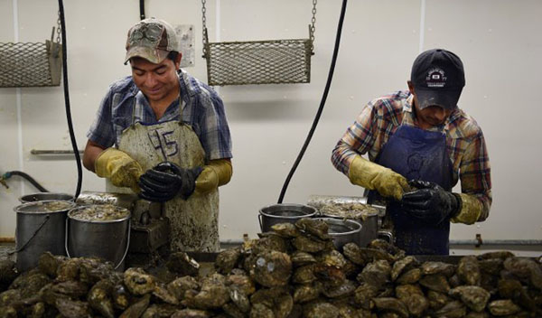 my-se-cap-them-15000-visa-my-cho-nguoi-nuoc-ngoai