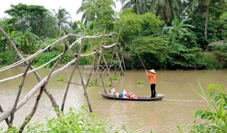 cầu khỉ Việt Nam