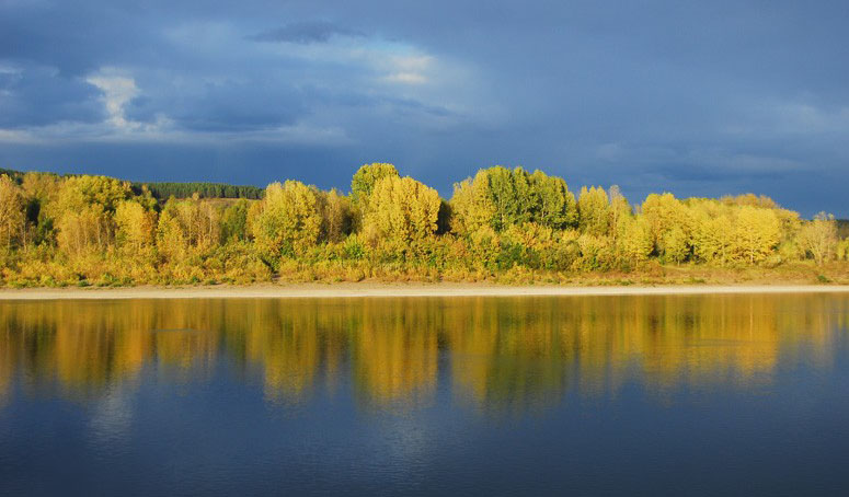 trang-chu-kha-pha-ve-dep-mua-thu-la-vang-o-nuoc-nga-02