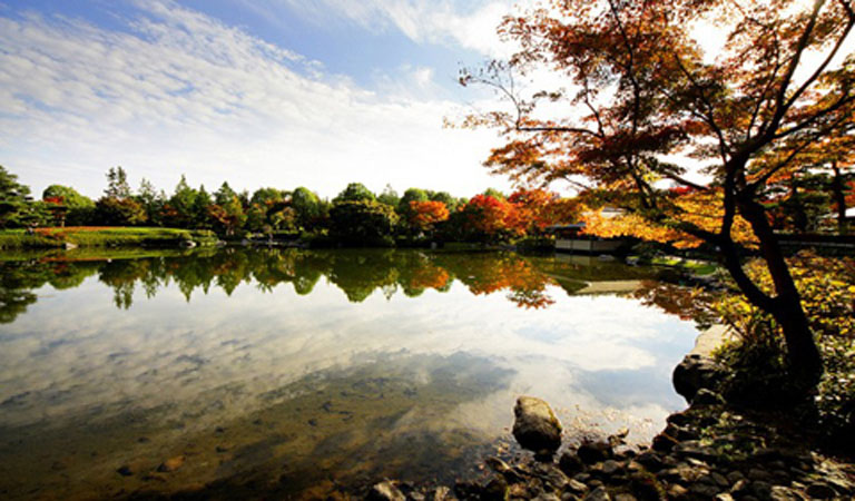 trang-chu-ngam-mua-thu-o-tokyo-nhat-ban