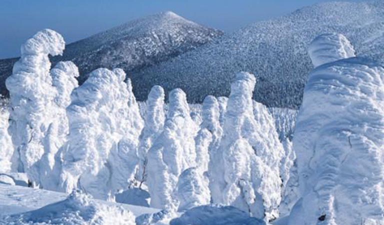 trang-chu-tuyet-quai-vat-xinh-dep-o-nhat-ban-04