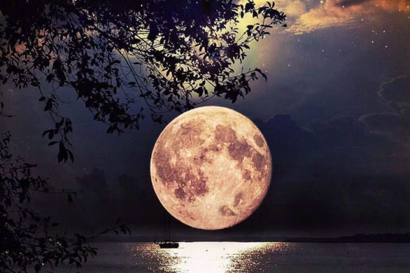 trang-hoa-flower-moon