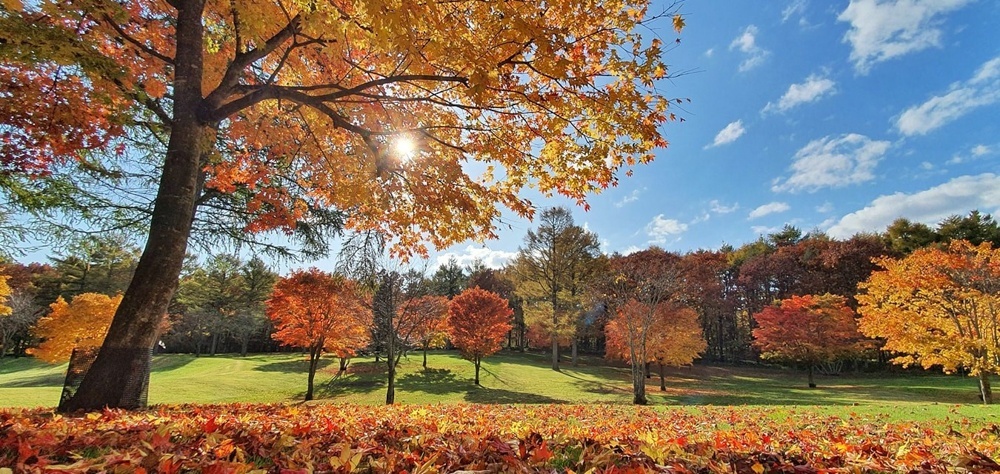 Du lịch Nhật Bản