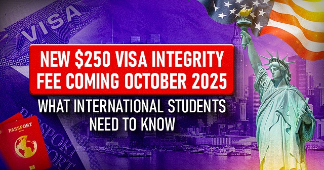 Visa Integrity Fee