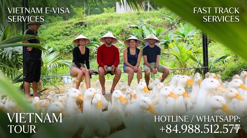 Massage Vịt - Vietnam Tour